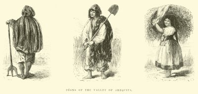 Peons des Tals von Arequipa von Edouard Riou